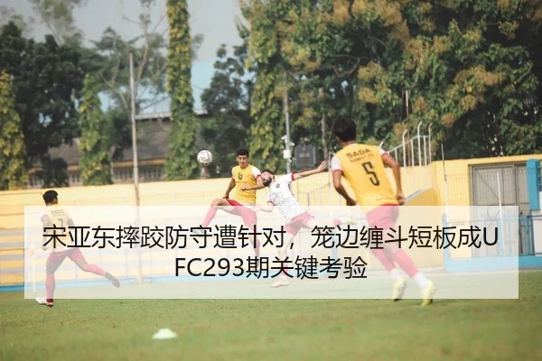 宋亚东摔跤防守遭针对，笼边缠斗短板成UFC293期关键考验